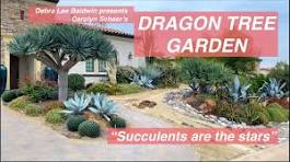 Carolyn's Dragon Tree Garden, Before-and-After - Debra Lee ...