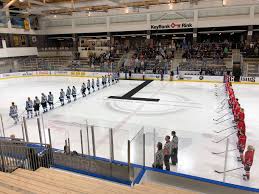 Want to learn more about the famous family? Nwhl Pegula Family Acquires Buffalo Beauts