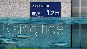 And, baby, a high e tide or fm low c#7.tide, fm when we're wrong, bm correct us. Rising Tide Long Term Ramifications Of Global Warming On The Country S Coastline The Japan Times