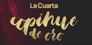 La edición 2018 de estos premios, además, cuenta con dos nuevas categorías: Conoce El Listado Completo De Los Nominados Al Copihue De Oro 2018