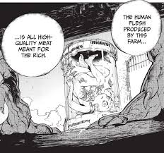 With sumire morohoshi, mariya ise, shinei ueki, lynn. Emma S Choice The Gender Norm Nightmare At The Heart Of The Promised Neverland Anime Feminist