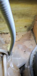 Image result for site:byggahus.se fuktigt