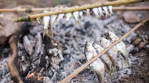 When utensils and other common kitchen amenities are not to be found, this method of cooking your. How To Cook Fish Over A Campfire