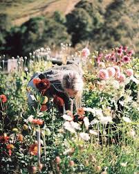Springtime Flowerpicking Pinterest Insta Britstrawbridge Blumen Wiese Blumenwiese Garten Pflanzen