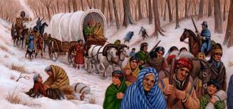 Are you one of those people who hates avocados, christmas, and game of thrones? Andrew Jackson S Controversial Trivia Questions Quizzclub
