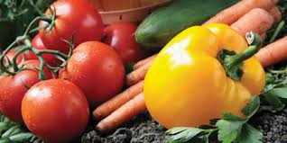 This formula offers high nitrate nitrogen for good n uptake under all growing. Home Growing Masterblend International