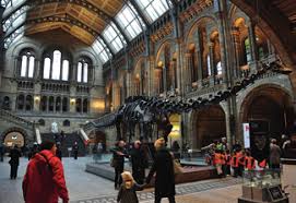 Nel corso dei secoli, il parlamento inglese progressivamente limitato il potere della monarchia inglese , un processo che probabilmente culminò nella guerra civile durante il vi e il vii secolo , i primi re anglosassoni si consigliarono di consiglieri; Http Www Intersteno Org Docs Archive Intersteno 125years History Pdf