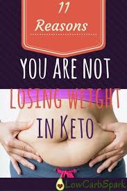 11 Reasons You Are Not Losing Weight On A Keto Diet No Carb Diets Keto Ketogenic