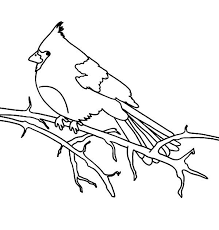 Cardinal Bird Cardinal Bird Stand On Dead Tree Branch Coloring Page Cardinal Bird Stand On Dead Tree Wood Burning Patterns Coloring Pages Tree Coloring Page