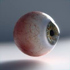Human Eye Photorealistic 3d Model In 2020 Human Eye Human Eyeball Reference Photos For Artists
