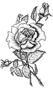 Pin By Pablo Barenstein On Flores Coloring Pages Coloring Books Flower Drawing