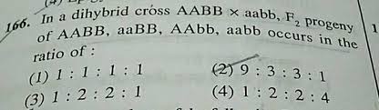 Ab ab ab ab f: Di Uj D Cross Aabb X Aabb F2 Progeny 29bb Aabb Aabb Occurs In The 166 In A Dihybrid Cross Of Aabb Aabb A Ratio Of 1 1 1 1 1 3 1 2 2 1 2 9 3 3 1 4 1 2 2 4