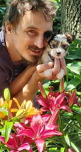 Biewer Terrier Adoption and Rehoming Support