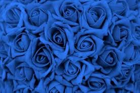 Maybe you would like to learn more about one of these? Beauty Meets Beast Pop Smoke The Blue Roses Wattpad