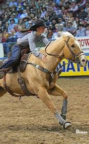 Check spelling or type a new query. 55 Hailey Lockwood Ideas Rodeo Life Barrel Racing Barrel Racer