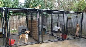 Dog Kennel Setups And Designs Diy Dog Kennel Dog Kennel Cover Dog Kennel Flooring