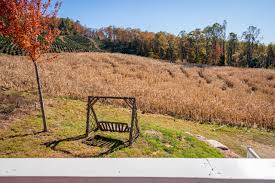 Image result for tbn:0PJB32OL7JwfOM::farm4.static.flickr.com/3324/3329876139_f2d551139f.jpg