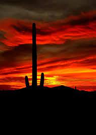 Clear sky sunset over tucson. Arizona Sunset Desert Sunset Tucson Sunset