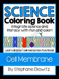 Graphic organizer focusing on the parts of the cell and how they are related; Cell Membrane Structure And Function Coloring Book Cell Membrane Structure Membrane Structure Cell Membrane