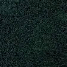 Image result for Dark Hunter Green 1998 AAV