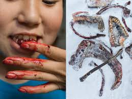 The Evolution of Diet - National Geographic