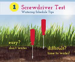 It's better to just skip watering that day, and water early the next morning. Outdoor Watering Recommendations