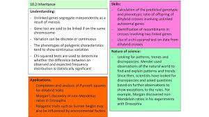 You then put the genotypes on the sides of the punnett square. 10 2 Inheritance Skills Calculation Of The Predicted Genotypic And Phenotypic Ratio Of Offspring Of Dihybrid Crosses Involving Unlinked Autosomal Genes Ppt Download