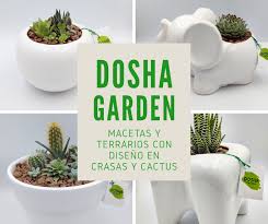 La fotosíntesis es el proceso de elaboración de los alimentos por parte de las plantas. Dosha Garden Home Facebook