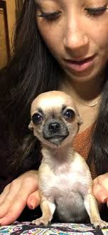 I think I broke Monty