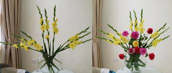 Vết cắt sẽ giúp tăng bề mặt hút nước cho cành hoa, ngoài ra phần đầu nhọn sẽ giúp bạn cắm cành hoa vào miếng mút xốp một cách dễ dàng. Gá»£i Y 2 Cach Cáº¯m Hoa Lay Æ¡n ThÆ°á»£c DÆ°á»£c Ä'áº¹p Rá»±c Rá»¡ Ngay Táº¿t
