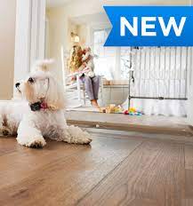 Maybe you've even noticed your neighbors training their canine with their new barrier with those little white flags lining their property. Invisible Fence Brand Indoor Solutions For Dogs And Cats The Invisible Fence Brand