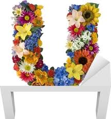 All types of text or stylish text . Fototapete Flower Alphabet A Pixers Wir Leben Um Zu Verandern