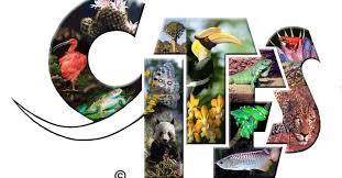 Nah, persebaran flora dan fauna di indonesia dipelajari labih dalam dalam ilmu biogeografi. Indonesia Jadi Tuan Rumah Konvensi Flora Dan Fauna Langka Portonews