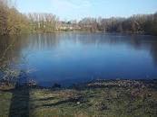 Image result for dali48