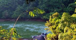 Lake Kenyir Der Grosste Angelegte See In Sudostasien Im Bundesstaat Terengganu Dient Auch Als E Taman Negara Malaysia Truly Asia Beautiful Places In The World