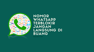 Biasanya dari pihak whatsapp akan memberikan notifikasi berapa lama akun whatsapp anda diblokir sementara, bisa 24 jam, 48 jam, atau bahkan lebih. Nomor Whatsapp Terblokir Jangan Langsung Di Buang Itu No Dewa