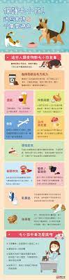 圖解新聞 保障毛小孩的健康 這些人類食物千萬要避免infographic these human foods could do serious harms to your pets infographic infographic design world languages