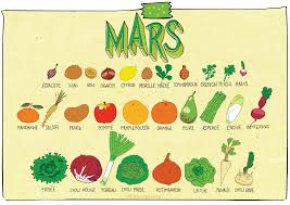 Epingle Par Claire Sophie Pissenlit Sur My Work Claire Sophie Pissenlit Fruits Et Legumes Fruits Et Legumes De Saison Legumes Janvier