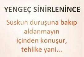Adin Akkaya Adli Kullanicinin Yengec Burcu Panosundaki Pin Ilham Verici Alintilar Burc Bilgileri Gercek Alintilar