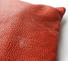 This is the newest place to search, delivering top results from across the web. How To Remove Mildew Mold Spots From Clothes Sew Guide