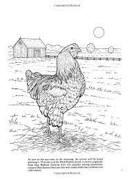 Supercoloring.com is a super fun for all ages: Pin On Embroidery