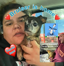 Found cat while searching for my dog