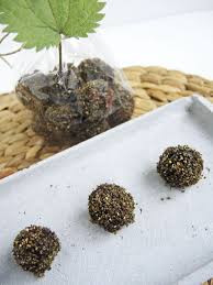 Brennnesselsamen Der Pure Energiekick Krauter Fur Die Gesundheit Krauter Leckere Vegane Rezepte