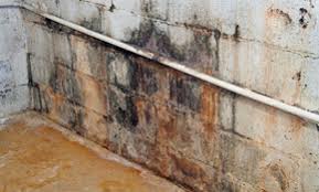 Maybe you would like to learn more about one of these? Top 10 Best Mold Removal Experts In Hartford Ct Angi Angie S List