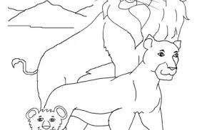 Print, color and enjoy these sea lion coloring pages! Top 20 Free Printable Lion Coloring Pages Online