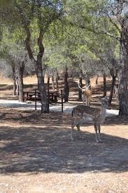 Parque Mata Da Conceição (Tavira) - ATUALIZADO 2020 O que saber ...