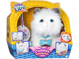 Gatito Sleepy erspart Kitty Famosa