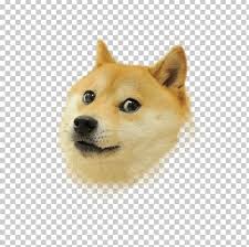 Dogecoin wallpapers for mobile phone, tablet, desktop computer and other devices. Dogecoin Shiba Inu Computer Icons Png Clipart Canaan Dog Carnivoran Comic Sans Companion Dog Desktop Wallpaper