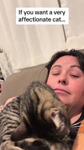 Facts about Brown Tabby Cats