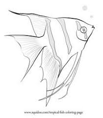 Kids are sure to have a blast coloring the pretty striped fish in bright and vibrant colors. Outline Drawing On Pinterest Coloring Pages Animal Coloring Fish Drawings Fish Coloring Page Fish Art